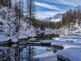 tore durante l'inverno