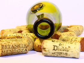 Il ruolo del tappo nella conservazione del vino