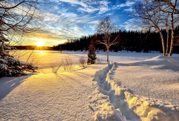 Il ruolo del freddo nella vinificazione invernale