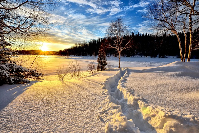 Il ruolo del freddo nella vinificazione invernale