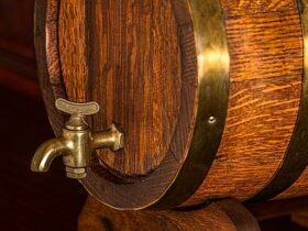 La figura del sommelier in cantina