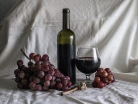 L'importanza della vendemmia manuale nella qualità del vino