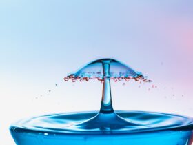 L'importanza del diradamento dei grappoli