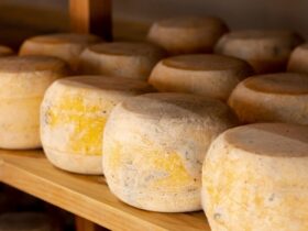 Pecorino di Pienza a lunga stagionatura biologica