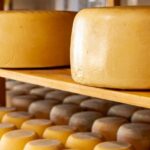 Processo di Produzione del Pecorino