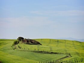 Vacanze enogastronomiche in Toscana