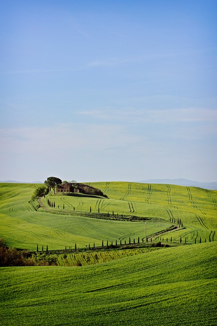 Vacanze enogastronomiche in Toscana