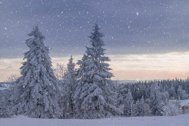 Il ruolo del gelo nella vinificazione invernale