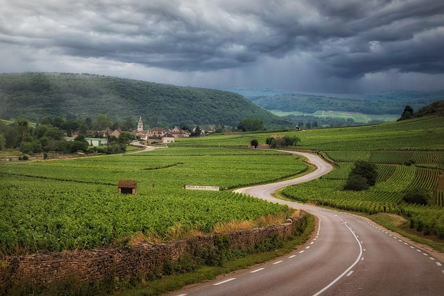 L'influenza del microclima sui vigneti