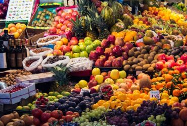 L'Impatto di Una Dieta Vegana sull'Ambiente