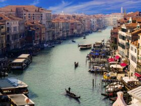 La figura dell'enologo consulente in Italia