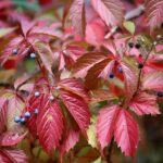 Come degustare un vino autunnale tannico