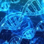 La figura del viticoltore biologico