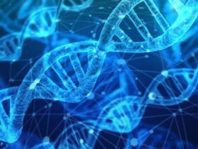 La figura del viticoltore biologico