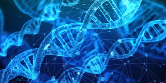 La figura del viticoltore biologico