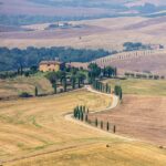 Tour delle cantine in Val d'Orcia