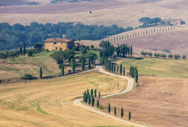 Tour delle cantine in Val d'Orcia