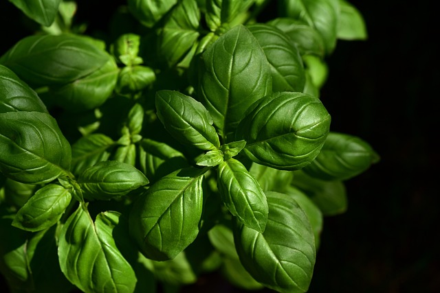 Tradizioni culinarie toscane