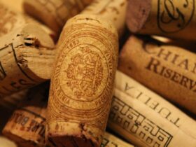 Le diverse tipologie di vino Chianti