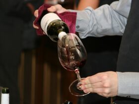 Il ruolo della temperatura nella degustazione del vino