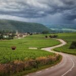 L'influenza della neve sui vigneti toscani