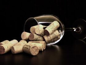 La storia del vino Malvasia Nera