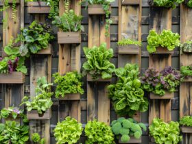 Verticoltura: Soluzioni Sostenibili per l'Agricoltura Urbana